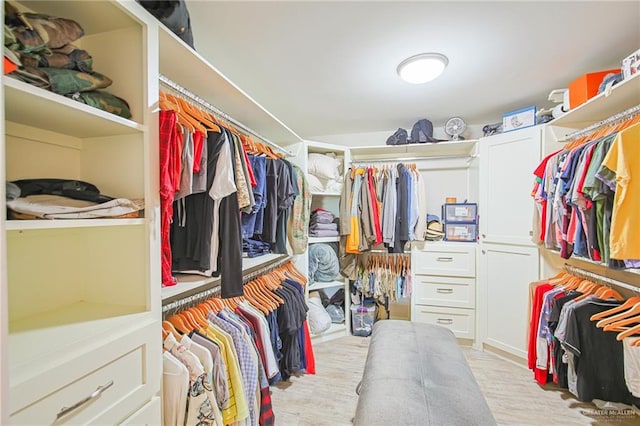 view of spacious closet