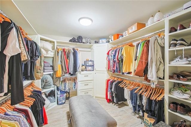 spacious closet with light wood-type flooring