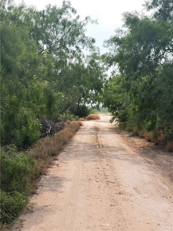 00 La Buda Dr, Edinburg, TX 78541