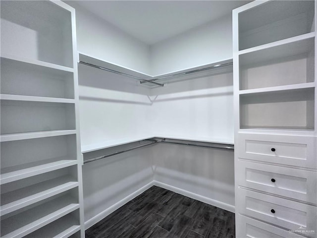 walk in closet featuring dark wood-style floors