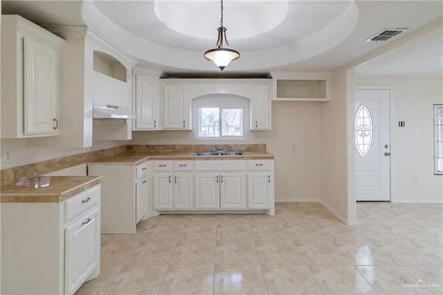 kitchen with under cabinet range hood, a sink, visible vents, a raised ceiling, and pendant lighting