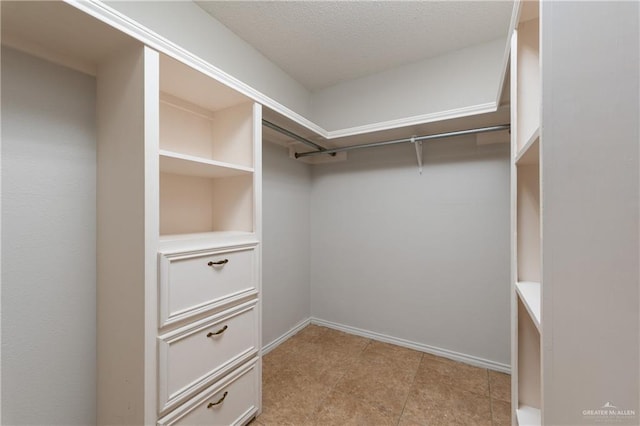 2106 Quail Ln, Mission, TX 78572 - view of walk in closet