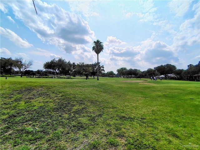 2416 S 2nd St, Mcallen, TX 78503 - photo 32
