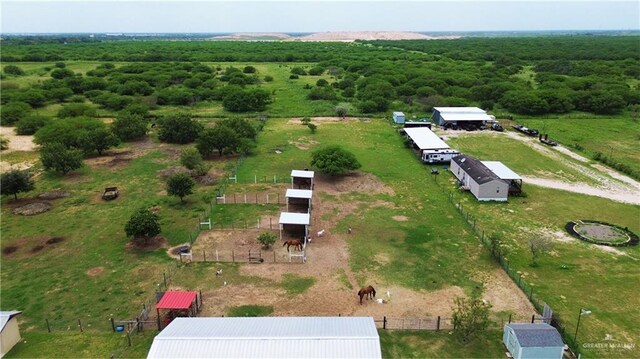9319 Viznaga Dr, Edinburg, TX 78542 - photo 23
