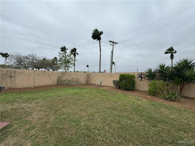 view of yard with a fenced backyard