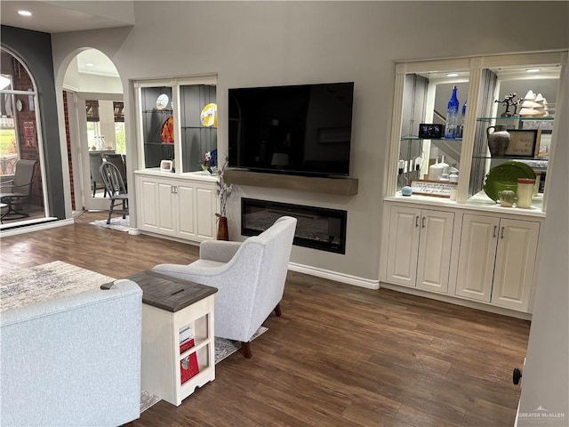 living room featuring dark hardwood / wood-style flooring