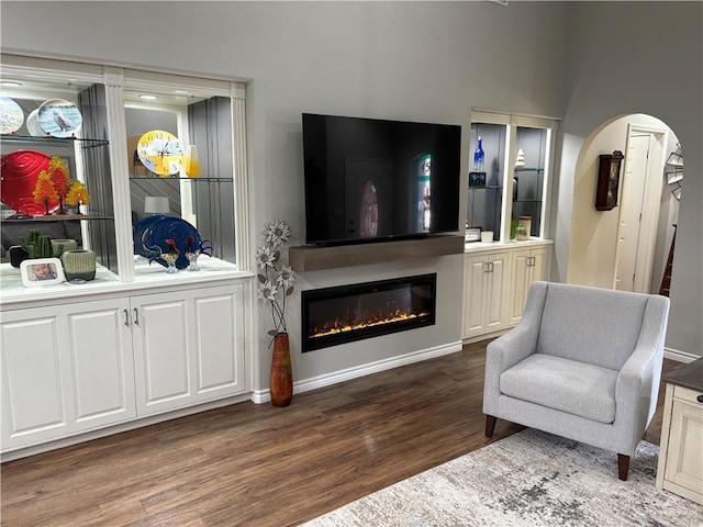 living room featuring dark wood-type flooring