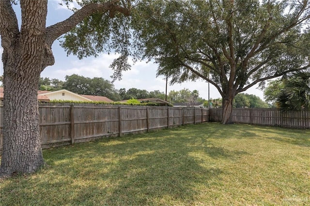 1409 Pine Ct, Harlingen, TX 78550 - view of fenced backyard