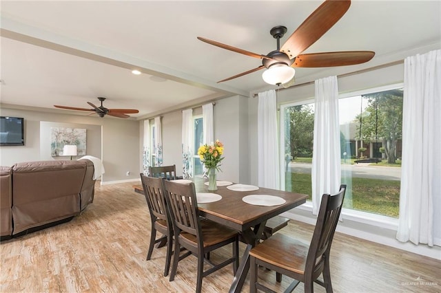 1409 Pine Ct, Harlingen, TX 78550 - dining room featuring ceiling fan and light wood-style floors