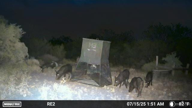 000 County Road 173, San Diego, TX 78332 - photo 18