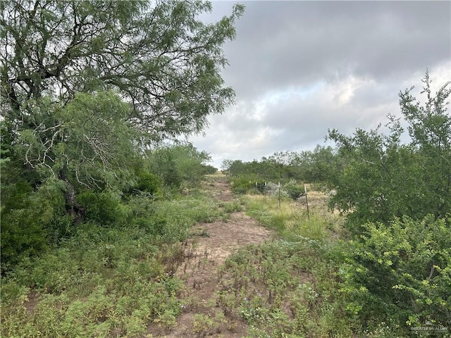 000 County Road 173, San Diego, TX 78332 - photo 7