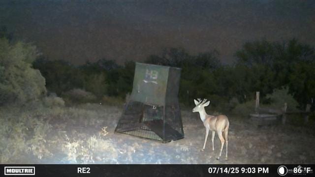 000 County Road 173, San Diego, TX 78332 - photo 19