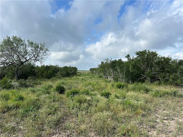 000 County Road 173, San Diego, TX 78332 - photo 12