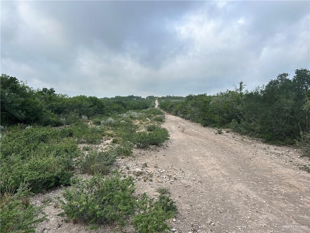 000 County Road 173, San Diego, TX 78332 - photo 10