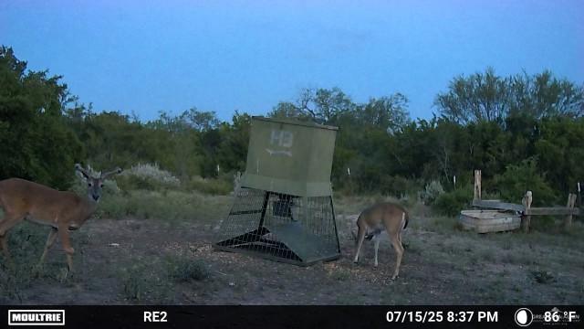 000 County Road 173, San Diego, TX 78332 - photo 16