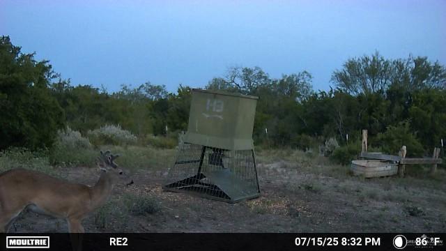 000 County Road 173, San Diego, TX 78332 - photo 17