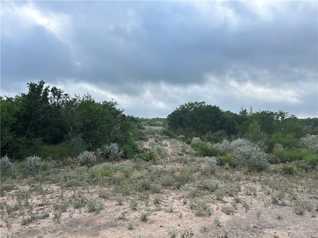 000 County Road 173, San Diego, TX 78332 - photo 6