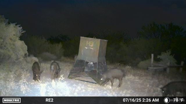 000 County Road 173, San Diego, TX 78332 - photo 14