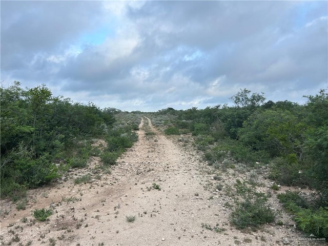 000 County Road 173, San Diego, TX 78332 - photo 9