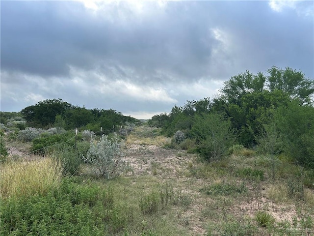 000 County Road 173, San Diego, TX 78332 - photo 8