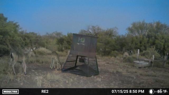 000 County Road 173, San Diego, TX 78332 - photo 15