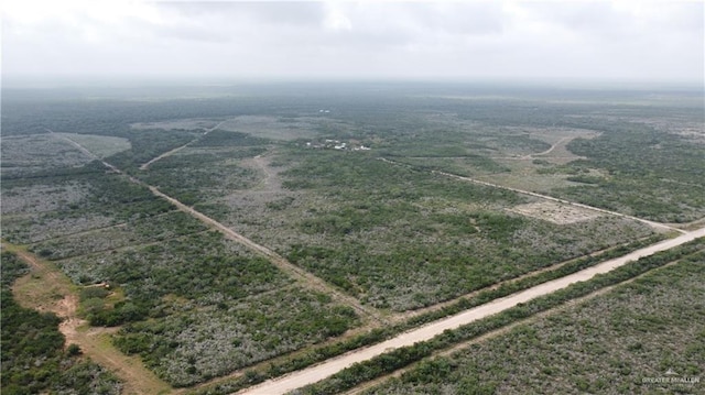 000 County Road 173, San Diego, TX 78332 - photo 5