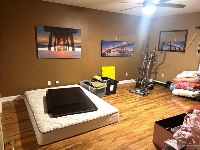 exercise room featuring wood-type flooring and ceiling fan