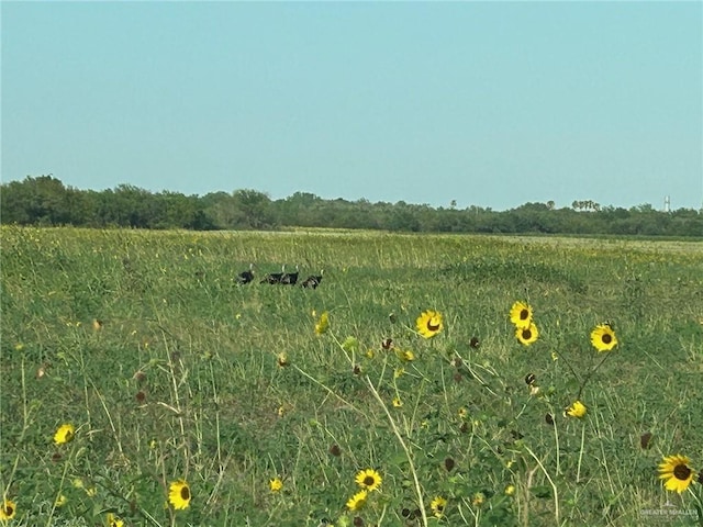0000 S Military Rd, La Joya, TX 78572