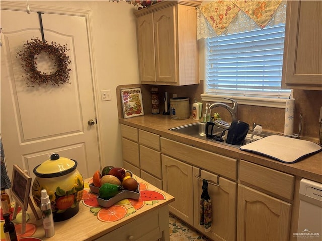 kitchen featuring white dishwasher and a sink