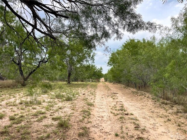 Listing photo 2 for TBD Rio Vista Blvd, Rio Grande City TX 78582