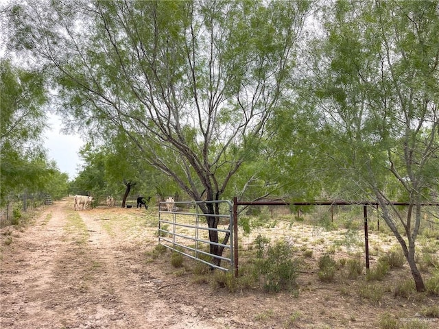 Listing photo 3 for TBD Rio Vista Blvd, Rio Grande City TX 78582