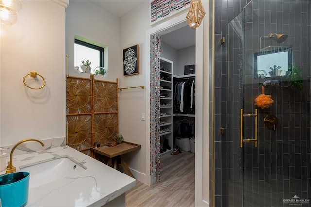 4825 Estancia Pkwy, Mcallen, TX 78504 - full bathroom with a stall shower, wood finished floors, vanity, and a spacious closet