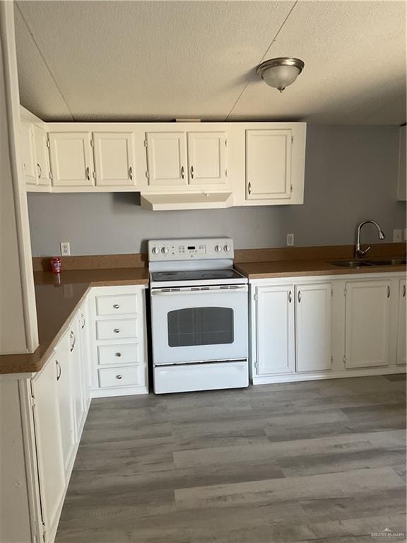 kitchen with wood finished floors, a sink, white cabinets, electric stove, and under cabinet range hood