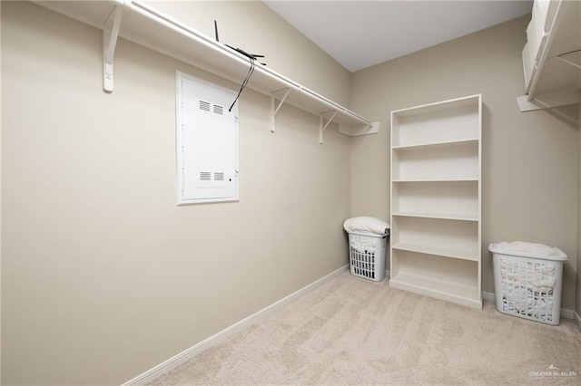 spacious closet with light carpet