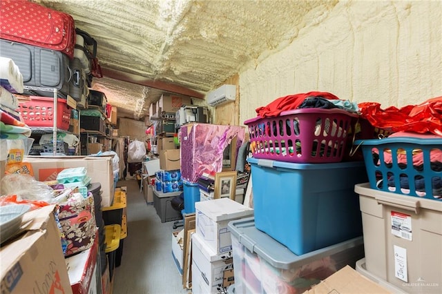 storage with an AC wall unit