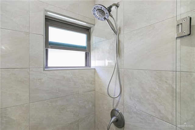 8718 Pink Flamingo St, Harlingen, TX 78552 - full bath featuring tiled shower