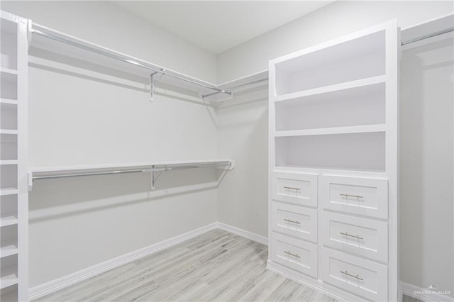 spacious closet featuring light wood-type flooring