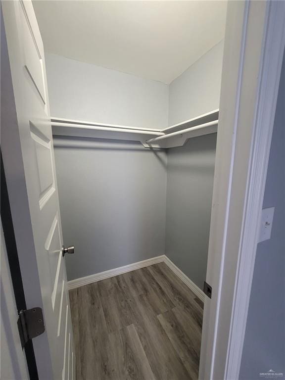 spacious closet featuring dark hardwood / wood-style flooring