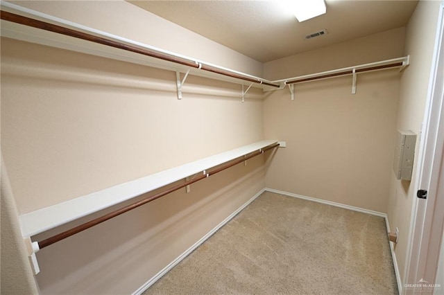 walk in closet with light carpet