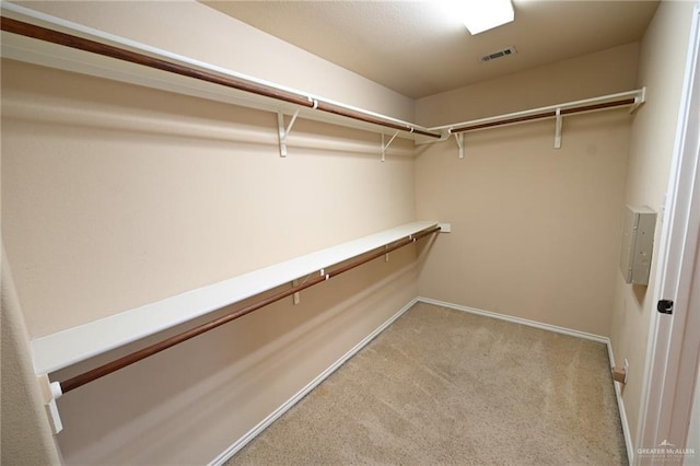 2316 Fairmont Ave, Mcallen, TX 78504 - walk in closet with carpet flooring