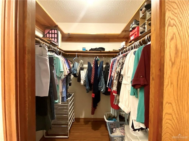 spacious closet with wood-type flooring