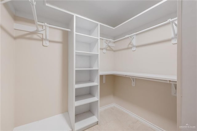 view of walk in closet