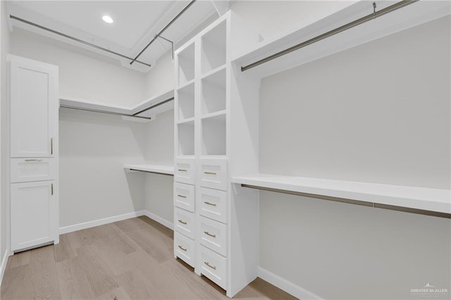 809 Azalea St, Mission, TX 78573 - walk in closet featuring light wood-type flooring