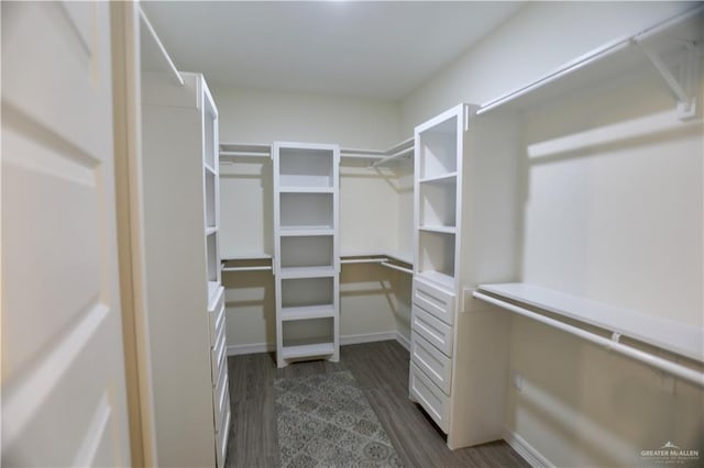 walk in closet featuring dark hardwood / wood-style floors