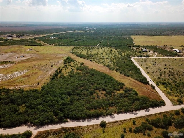 Listing photo 2 for LOT3 Pimenta Rd, Rio Grande City TX 78582