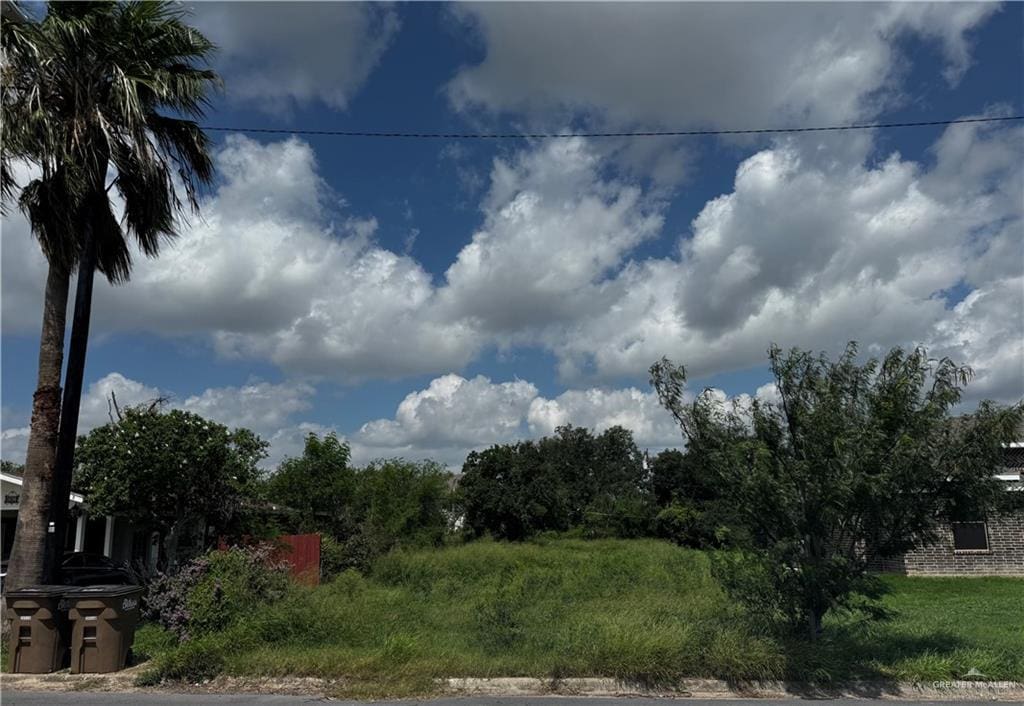 523 N 12th St, Donna, TX 78537 - photo 1