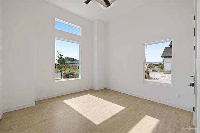 9906 N 24th Ln, Mcallen, TX 78504 - photo 17
