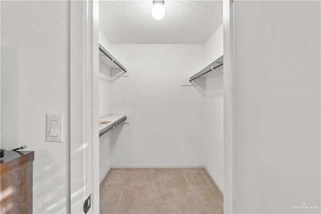 spacious closet with light carpet