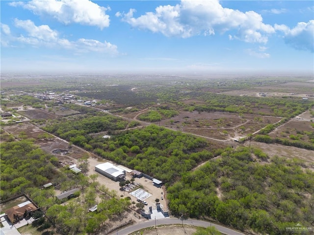 Listing photo 3 for LOT9 Los Frontones St, Rio Grande City TX 78582