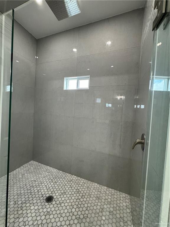 bathroom featuring a shower with shower door